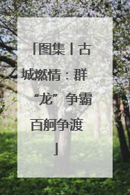 图集丨古城燃情：群“龙”争霸 百舸争渡
