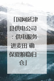 国网延津县供电公司：供电服务进麦田 确保夏粮稳归仓