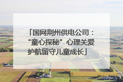 国网荆州供电公司：“童心探秘”心理关爱护航留守儿童成长