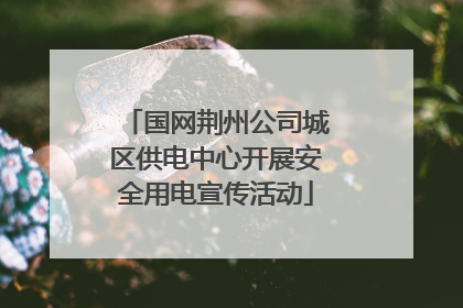 国网荆州公司城区供电中心开展安全用电宣传活动