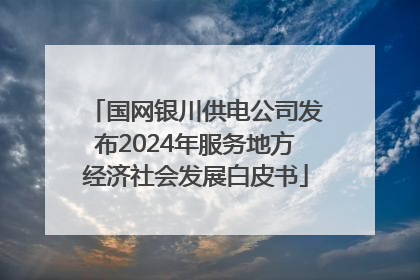 国网银川供电公司发布2024年服务地方经济社会发展白皮书