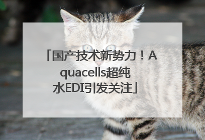 国产技术新势力！Aquacells超纯水EDI引发关注