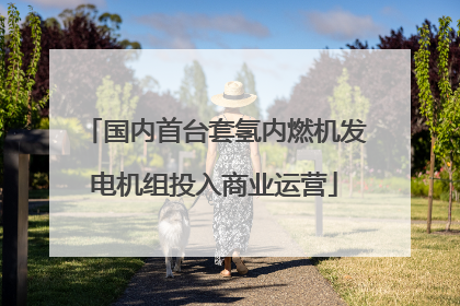 国内首台套氢内燃机发电机组投入商业运营