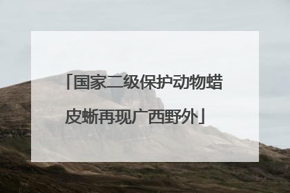 国家二级保护动物蜡皮蜥再现广西野外