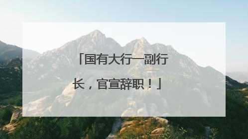 国有大行一副行长，官宣辞职！