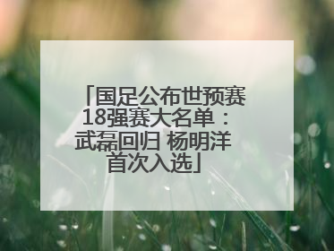 国足公布世预赛18强赛大名单：武磊回归 杨明洋首次入选