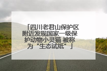 四川老君山保护区附近发现国家一级保护动物小灵猫 被称为“生态试纸”
