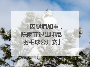 因腿痛加重，陈雨菲退出印尼羽毛球公开赛