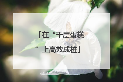 在“千层蛋糕”上高效成桩