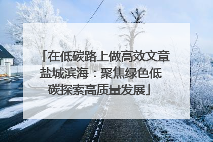 在低碳路上做高效文章 盐城滨海：聚焦绿色低碳探索高质量发展