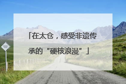 在太仓，感受非遗传承的“硬核浪漫”