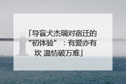 导盲犬杰瑞对宿迁的“初体验”：有爱亦有坎 温情破万难