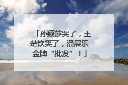 孙颖莎哭了，王楚钦笑了，潘展乐金牌“批发”！