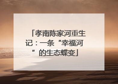 孝南陈家河重生记：一条“幸福河”的生态蝶变