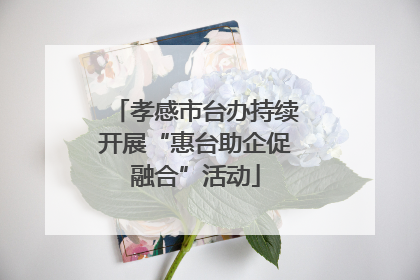 孝感市台办持续开展“惠台助企促融合”活动