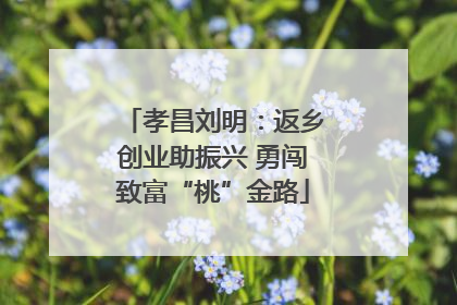 孝昌刘明：返乡创业助振兴 勇闯致富“桃”金路