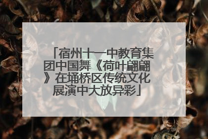 宿州十一中教育集团中国舞《荷叶翩翩》在埇桥区传统文化展演中大放异彩