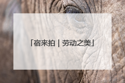 宿来拍｜劳动之美