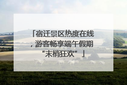 宿迁景区热度在线，游客畅享端午假期“末梢狂欢”
