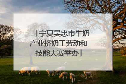 宁夏吴忠市牛奶产业挤奶工劳动和技能大赛举办