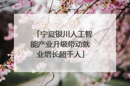 宁夏银川人工智能产业升级带动就业增长超千人