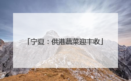 宁夏：供港蔬菜迎丰收