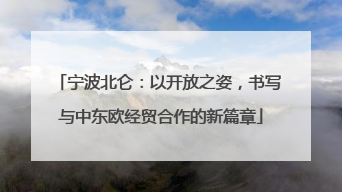 宁波北仑：以开放之姿，书写与中东欧经贸合作的新篇章