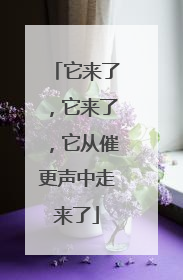 它来了，它来了，它从催更声中走来了