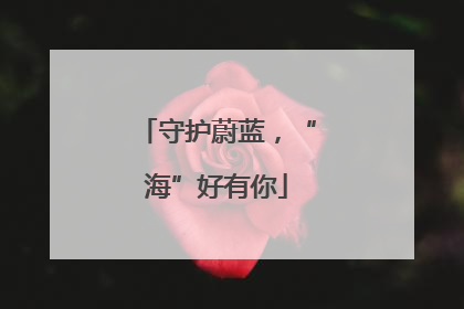 守护蔚蓝，“海”好有你