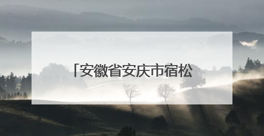 安徽省安庆市宿松县市场监督管理局关于公布2025年第3期食品安全监督抽检信息的通告