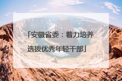 安徽省委：着力培养选拔优秀年轻干部