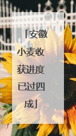 安徽小麦收获进度已过四成
