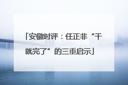 安徽时评：任正非“干就完了”的三重启示