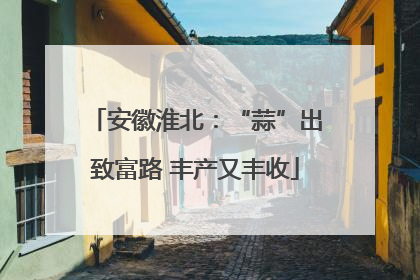 安徽淮北：“蒜”出致富路 丰产又丰收