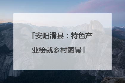 安阳滑县：特色产业绘就乡村图景
