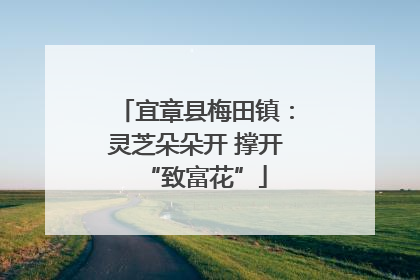 宜章县梅田镇：灵芝朵朵开 撑开“致富花”