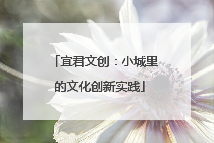 宜君文创：小城里的文化创新实践