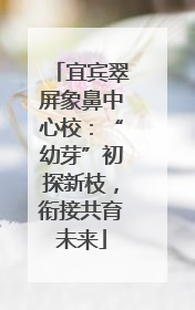 宜宾翠屏象鼻中心校：“幼芽”初探新枝，衔接共育未来