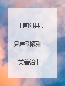 宜阳县：党建引领和美善治