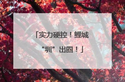 实力硬控！鲤城“圳”出圈！