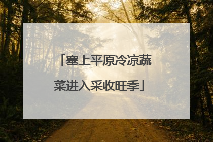 塞上平原冷凉蔬菜进入采收旺季