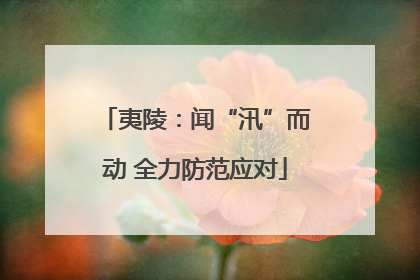 夷陵：闻“汛”而动 全力防范应对