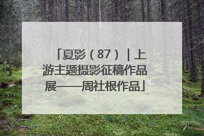 夏影（87）｜上游主题摄影征稿作品展——周社根作品