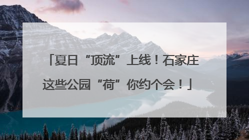 夏日“顶流”上线！石家庄这些公园“荷”你约个会！