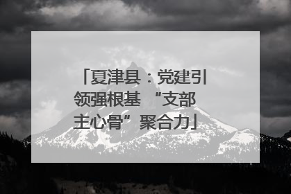 夏津县：党建引领强根基 “支部主心骨”聚合力