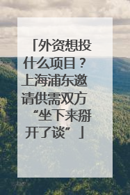外资想投什么项目？上海浦东邀请供需双方“坐下来掰开了谈”