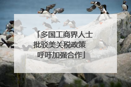 多国工商界人士批驳美关税政策 呼吁加强合作
