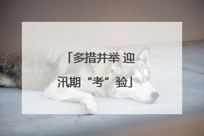 多措并举 迎汛期“考”验