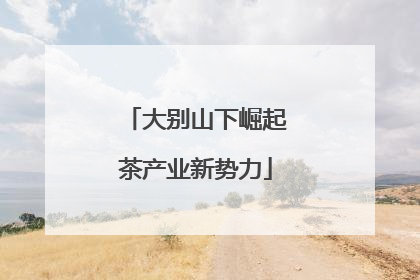 大别山下崛起茶产业新势力