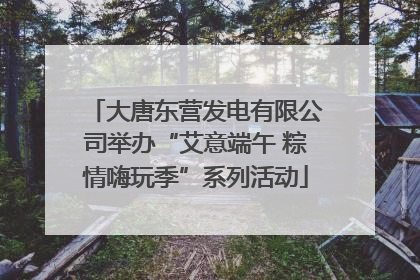 大唐东营发电有限公司举办“艾意端午 粽情嗨玩季”系列活动